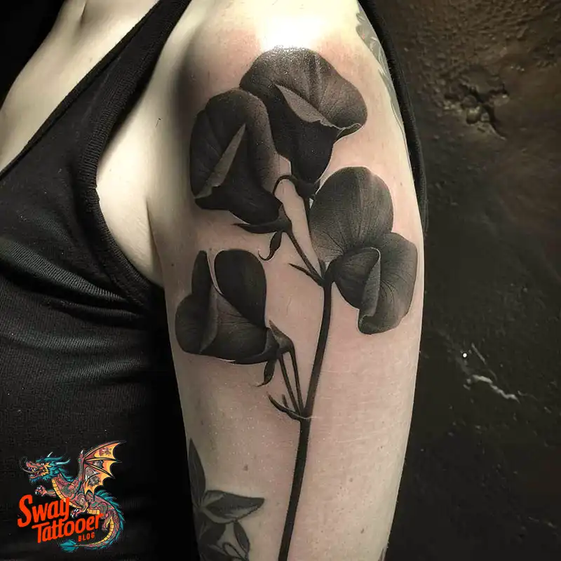 150 Sweet Pea Flower Tattoo Design Ideas and Deep Meanings 76 sweet pea flower tattoo
