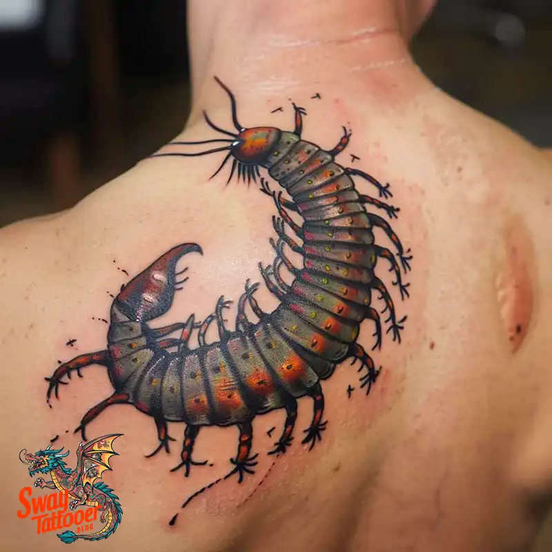 100 Centipede Tattoo Designs Symbolism, Style, & Longevity 84 centipede6