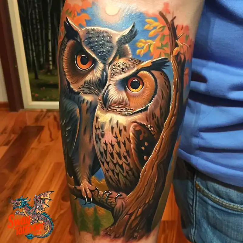 owl8