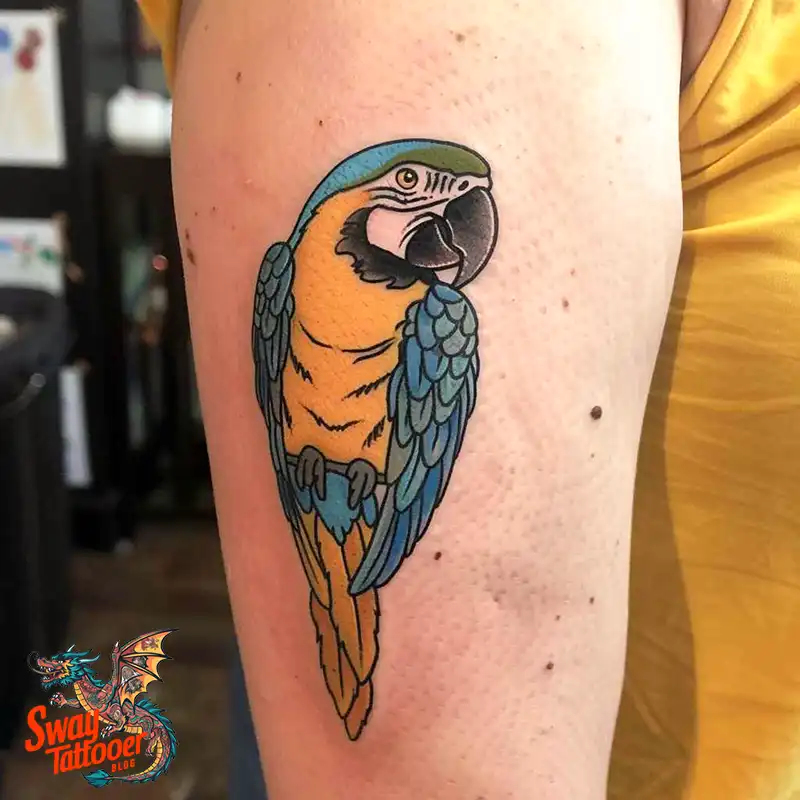 120 Parrot Tattoo Designs, Meanings, Aftercare, & Color Key 103 parrot6