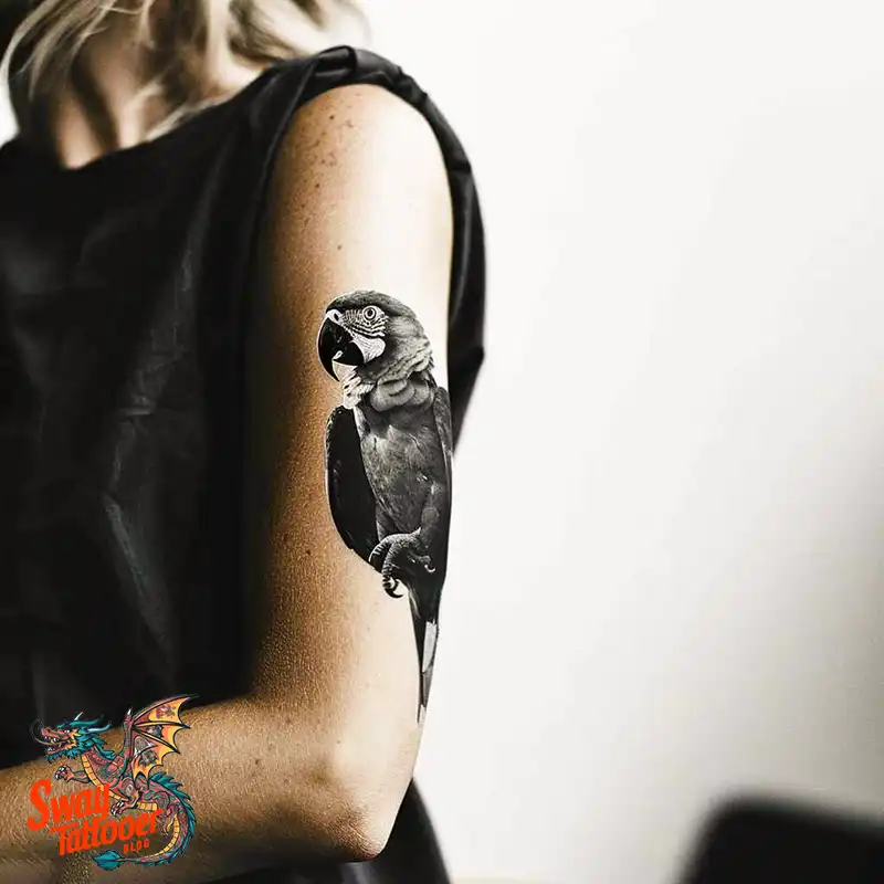 120 Parrot Tattoo Designs, Meanings, Aftercare, & Color Key 50 Parrot Tattoo Design Ideas