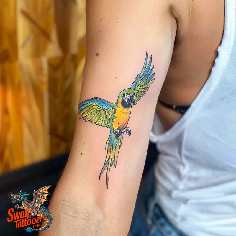 120 Parrot Tattoo Designs, Meanings, Aftercare, & Color Key 36 Parrot Tattoo Design Ideas