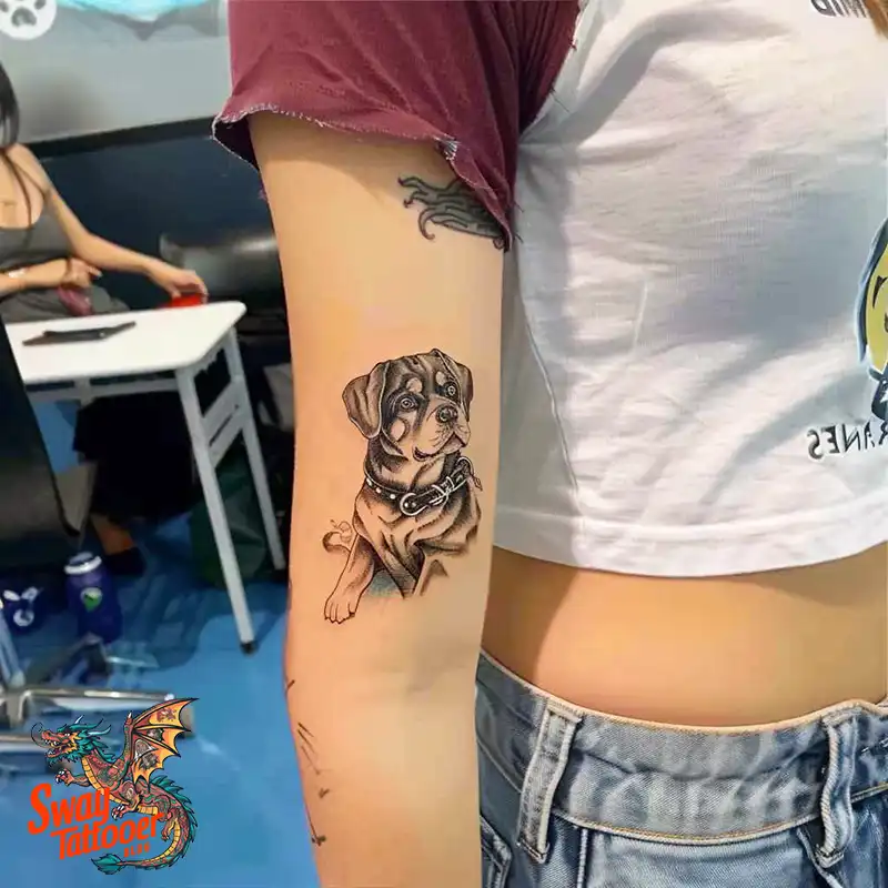 100 Rottweiler Tattoo Designs: Symbolism & Ink Arts 55 Rottweiler Tattoo