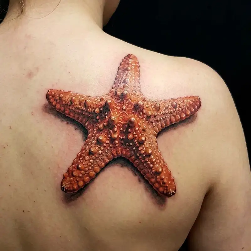 100 Starfish Tattoos: Meaning, Styles & Design Ideas 19 Starfish Tattoo Design Ideas